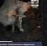 3dbd1cc8-0f38-487a-8517-e528f0c52489 - МВД по Республике Крым