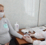 Первый государственный центр ЭКО появится в Нижнем Новгороде - НИА Нижний Новгород