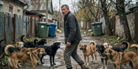 Медленно уходить, бежать или не обращать внимания: как вести себя при встрече со стаей бездомных собак - советы кинолога - Progorod33.Ru