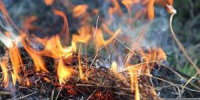 В Волгодонске и районе объявили пожароопасность 4 класса - DonDay-Volgodonsk.Ru