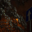 Въезд в леса перед началом осени продлили на Ставрополье - Bloknot-Stavropol.Ru