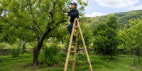 Из старых досок делаю японскую садовую стремянку на 3 ногах — не шатается даже на кочках и ямах: сокровище дачника - Pg11.Ru