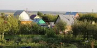 В Башкирии напомнили о профилактике мышиной лихорадки в осенний период - Башинформ