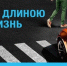 Соблюдая ПДД, сохраняешь жизнь! - Yugs.Ru