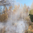Вологда-поиск - Вологда-поиск