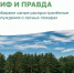 Самые распространенные заблуждения о лесных пожарах - МФЦ по Курганской области