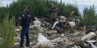 Фото: Комитет государственного экологического надзора Ленинградской области - Газета Выборг