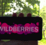 Wildberries запустил собственный мессенджер WB Chat - StolicaOnego.Ru