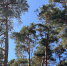 CGSp8gkzEKxeUGrEgXe4C_jcQfD5c3hxQ-N5URyCb0HLXlOmWREZkRL2-FRatrP-0t3uezPQOTUBlpQS2wJFR_iP - Рязанские ведомости