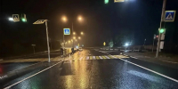 В Бердске под Новосибирском автомобиль сбил пешехода на регулируемом переходе - Сиб.фм