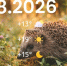 _qRFwSWsTOFrOH-EVD9wUlx0NNSQz3D0C0-PAI5txqZYkN6Z-9BqioUPsBxk-lqDBf0wxRT3i72tDhJ9w7y4uAa_ - ЗА Новомосковск