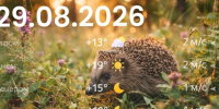_qRFwSWsTOFrOH-EVD9wUlx0NNSQz3D0C0-PAI5txqZYkN6Z-9BqioUPsBxk-lqDBf0wxRT3i72tDhJ9w7y4uAa_ - ЗА Новомосковск