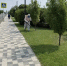 В Ставрополе обработали свыше 2 млн квадратных метров территорий - Вечерний Ставрополь