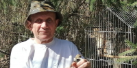 В семействе аистов рядом с Волжским появилось и выросло редкое число птенцов - Волжская правда