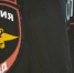 В Коми более полутора тысяч полицейских задействуют на выборах - Pg11.Ru