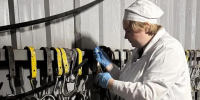 Белореченская ветлаборатория проверила новую бойню - Департамент ветеринарии