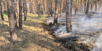 В Херсонской области 29–30 августа ожидается чрезвычайная пожароопасность - Херсонское агентство новостей