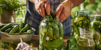 Кручу по 50 банок — соленые огурцы как из бочки: старинный рецепт, который работает до сих пор - Pg11.Ru