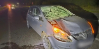 В Завьяловском районе водитель насмерть сбил пешехода - Комсомольская Правда