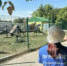 В Крыму новый сквер появился на месте пустыря в поселке Молодежном - SevastopolMedia