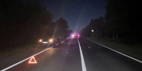 Пешеход погиб в ночном ДТП в Самарской области - Самарская Газета