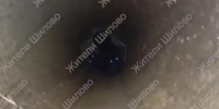 Два маленьких котенка провалились в трубу в воронежском микрорайоне – их спасли и показали на видео - Bloknot-Voronezh.Ru