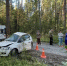 Фото: пресс-служба УМВД - CherInfo.Ru