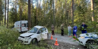 Фото: пресс-служба УМВД - CherInfo.Ru