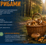 Безопасный поход в лес за грибами - МЧС России