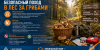 Безопасный поход в лес за грибами - МЧС России