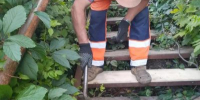 В Курске отремонтировали лестницу на улице Ватутина - Курская правда