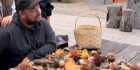 Сергей Жигунов с "урожаем" грибов - Петрозаводск говорит