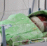 На Южном Урале родители все чаще выбирают для новорожденных библейские имена - Южноуральская панорама