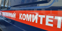 СК России предупреждает подростков об опасности «легкого заработка» в сети Интернет   - ИА Хакасия