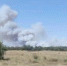 Жителей просят о помощи в тушении пожара в Лозновском лесу - DonDay-Volgodonsk.Ru