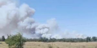 Жителей просят о помощи в тушении пожара в Лозновском лесу - DonDay-Volgodonsk.Ru