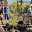 В Челябинске городской бор подрос на 6000 квадратных метров - Южноуральская панорама