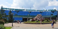 Новосибирскому зоопарку исполняется 79 лет - Сиб.фм