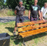 В Червонопартизанске продолжается работа по благоустройству общественных пространств - Администрация города Свердловска и Свердловского района
