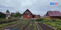 В Нововятске состоялась ярмарка урожая - ГТРК Вятка