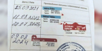 «Начала кусать себя и не держалась на лапах»: владельцы собак из Петербурга и Ленобласти рассказали о трагедиях после прививки - Online47.Ru