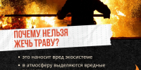 Пал травы — это прямая угроза лесному хозяйству и жизни людей!. - Муниципальный округ Воркута
