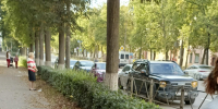 Haval и Skoda столкнулись на проспекте Ленина в Великих Луках - Pln-Pskov.Ru