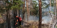 Лесной пожар в Цимлянском районе охватил 120 гектаров - DonDay.Ru