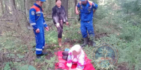 Фото: Аварийно-спасательная служба ЛО - Мой район