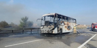 Три человека погибли в результате ДТП с автобусом под Ростовом - Комсомольская Правда
