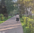 Дневное тепло в Нижнем Новгороде сменится прохладной ночью в это воскресенье - ProGorodNN.Ru