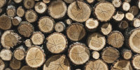 stacks-timber - ТРК Щелково