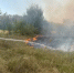 В Ростовской области увеличилась площадь лесного пожара - DonDay.Ru