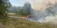 В Ростовской области увеличилась площадь лесного пожара - DonDay.Ru